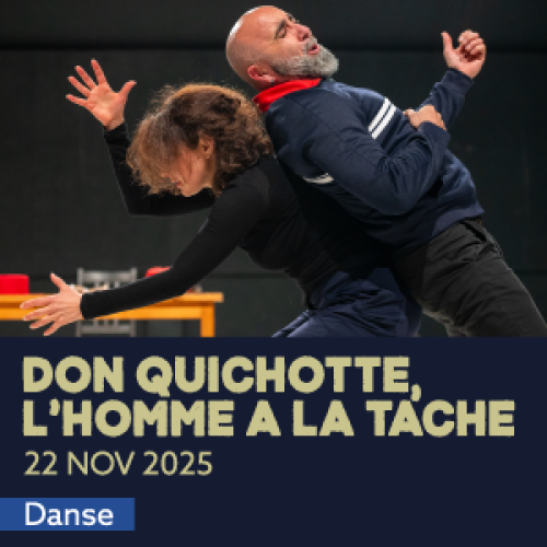 artwork-website_don-quichotte