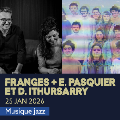 artwork-website_franges_e-pasquier_d-ithursarry