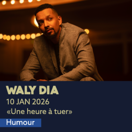 artwork-website_waly-dia